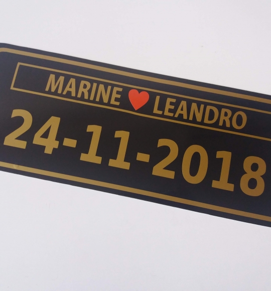 Placa Em Pvc Personalizadas P/ Carro - Casamento