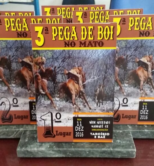 Troféu PVC 20x10 cm