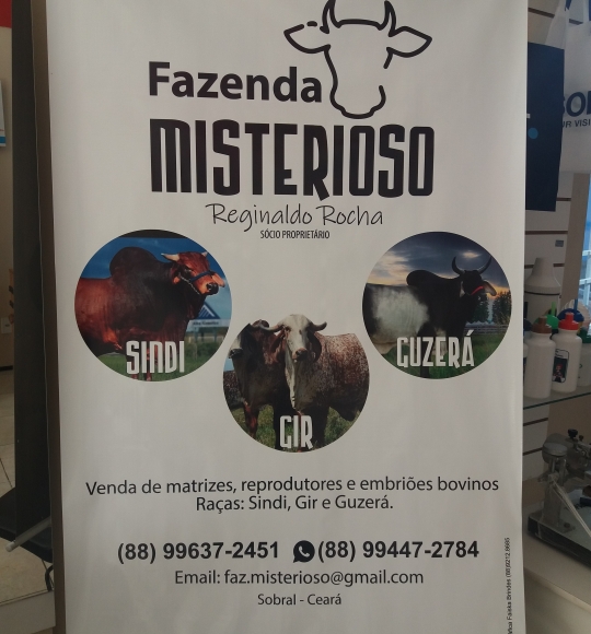 Banner 120 x 80 cm Lona Digital